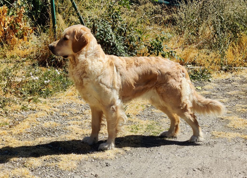 Talya Des Collines De Vaumagnaude