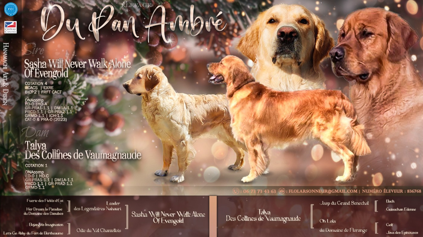 Planning mariage 2026/2027